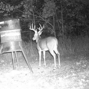 Meet your Posher, Aaron